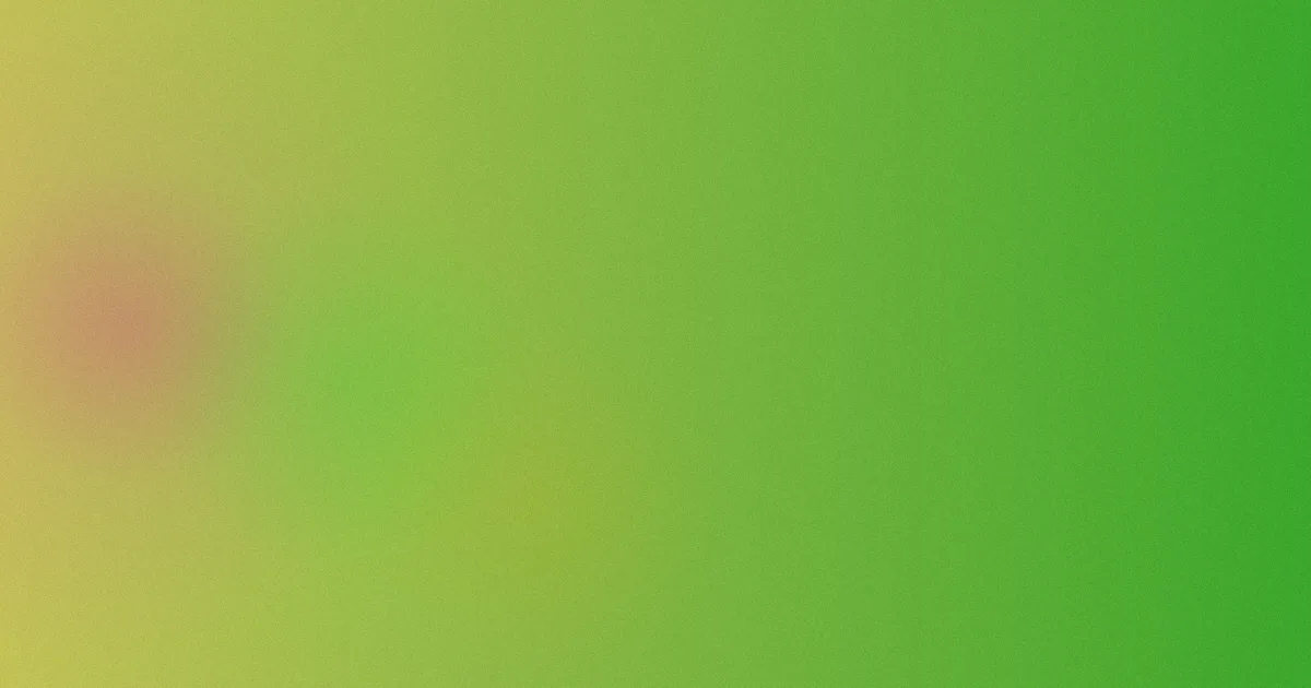 金丝笼避坑：5项对比看透
